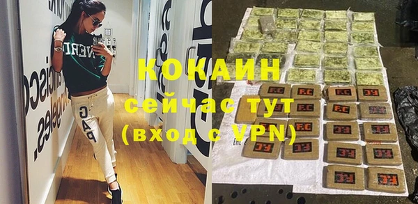 дурь Бронницы