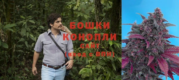 не бодяженный Бородино