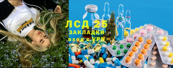 шишки Верхний Тагил