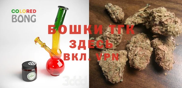 дурь Бронницы