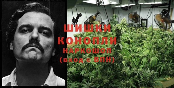 дурь Бронницы